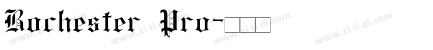 Rochester Pro字体转换